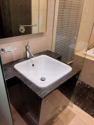 Residences @ Evelyn (D11), Condominium #437993911